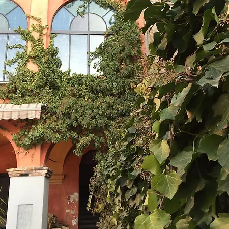 Bed & Breakfast Bonifanti 3*