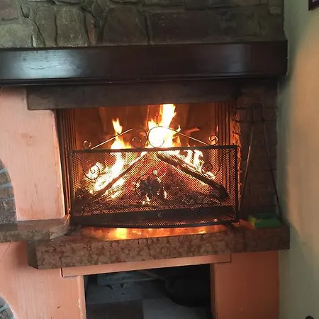 Bonifanti